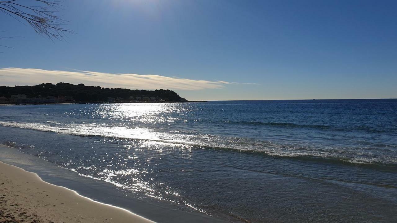 Studios Les Sablettes/La Seyne Sur Mer Eksteriør billede