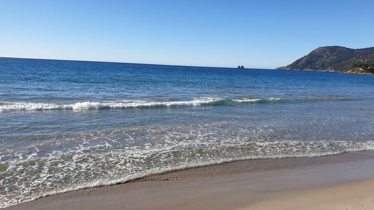 Studios Les Sablettes/La Seyne Sur Mer Eksteriør billede